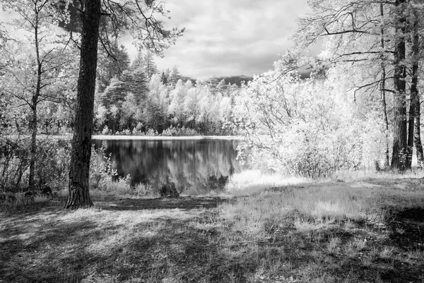 Lesní jezero v horkém letním dni. infračervený obrázek — Stock fotografie