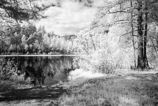 Lesní jezero v horkém letním dni. infračervený obrázek — Stock fotografie