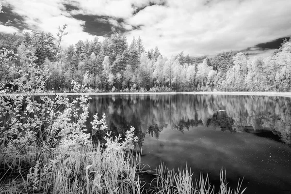 夏の暑い日に森の湖。赤外線画像 — ストック写真