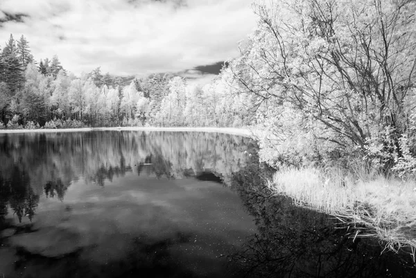 Lago del bosque en el caluroso día de verano. imagen infrarroja — Foto de Stock
