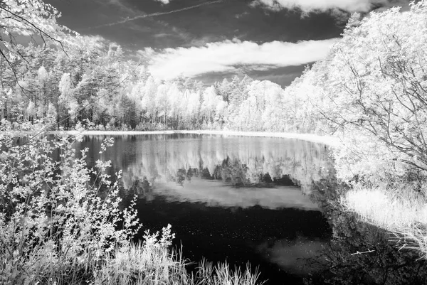 Lago del bosque en el caluroso día de verano. imagen infrarroja —  Fotos de Stock