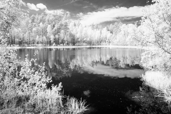 Skogssjö i varm sommardag. infraröd bild — Stockfoto