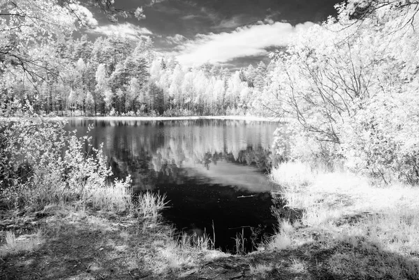 Lago del bosque en el caluroso día de verano. imagen infrarroja —  Fotos de Stock