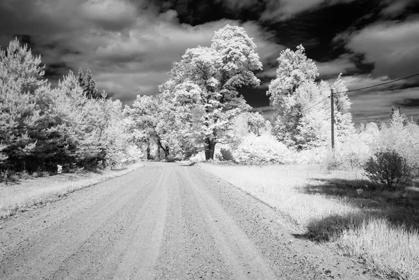 País camino de grava en el bosque. imagen infrarroja — Foto de Stock