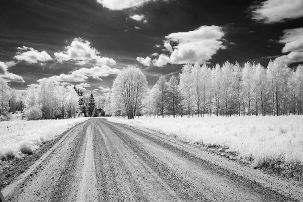 Země štěrková cesta v lese. infračervený obrázek — Stock fotografie