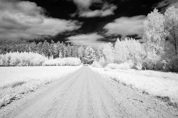 Estrada de cascalho rural na floresta. imagem infravermelha — Fotografia de Stock