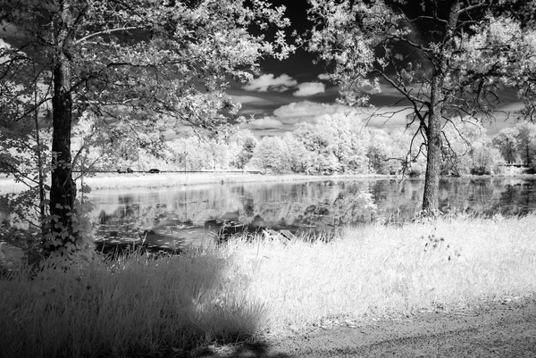 Lago del bosque en el caluroso día de verano. imagen infrarroja —  Fotos de Stock