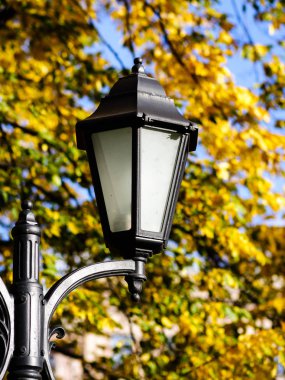 Sokak lambası arka planda elm şube