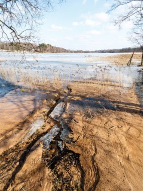 bahar sonsuz alanları
