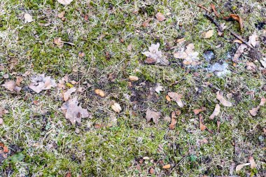 grunge vintage doku arka plan sanat