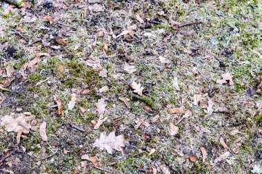 grunge vintage doku arka plan sanat