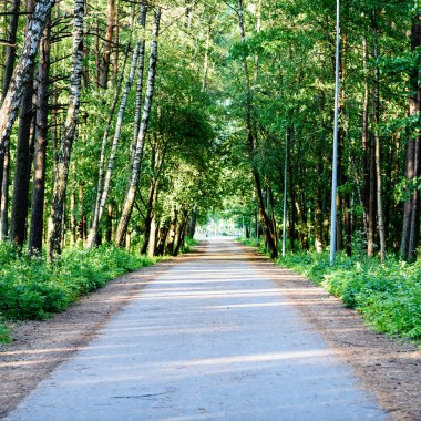 yeşil park yürüyüş yolları ile