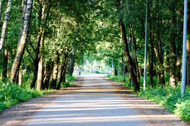 yeşil park yürüyüş yolları ile