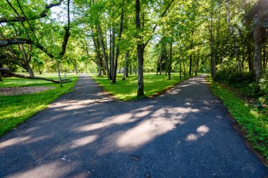 yeşil park yürüyüş yolları ile