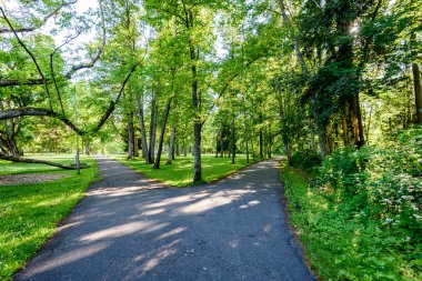 yeşil park yürüyüş yolları ile