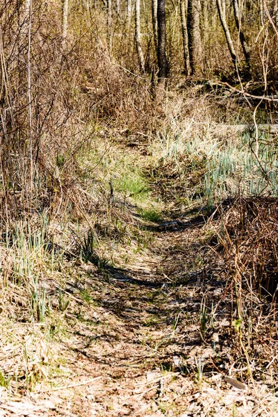 grunge vintage doku arka plan sanat