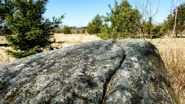 Piedra grande en el prado —  Fotos de Stock