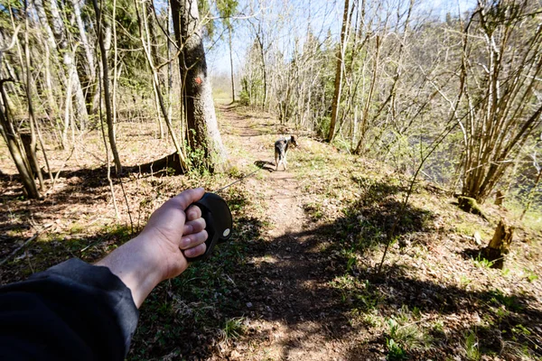 Insan eli tutan bir köpek kira kontratı — Stok fotoğraf