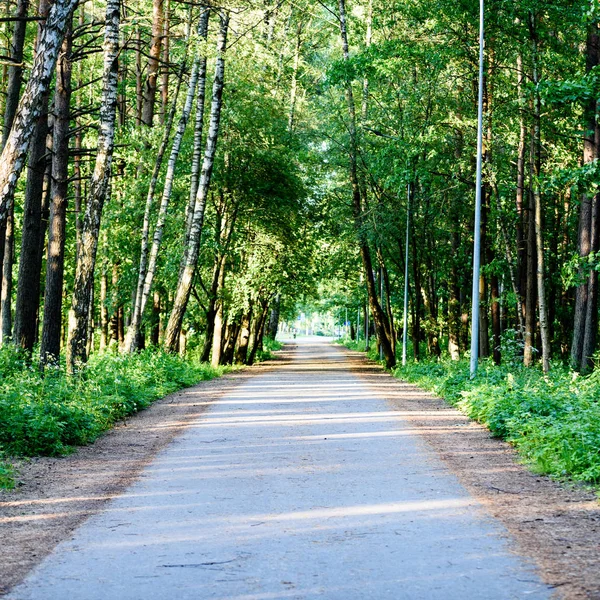 yeşil park yürüyüş yolları ile