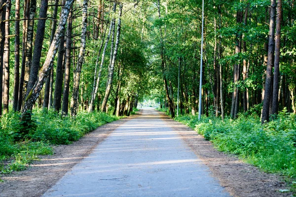 yeşil park yürüyüş yolları ile