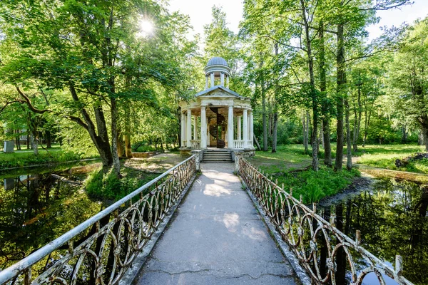 Grüner Park mit Gehwegen — Stockfoto