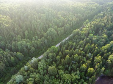 Drone görüntü. Ormanlar ile kırsal bölgenin havadan görünümü