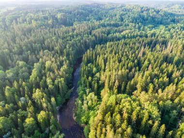 Drone görüntü. Ormanlar ile kırsal bölgenin havadan görünümü