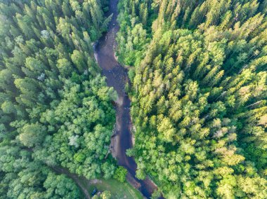 Drone görüntü. Ormanlar ile kırsal bölgenin havadan görünümü