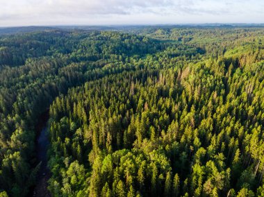Drone görüntü. Ormanlar ile kırsal bölgenin havadan görünümü