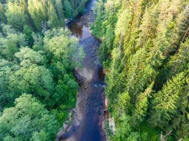 Drone görüntü. Ormanlar ile kırsal bölgenin havadan görünümü