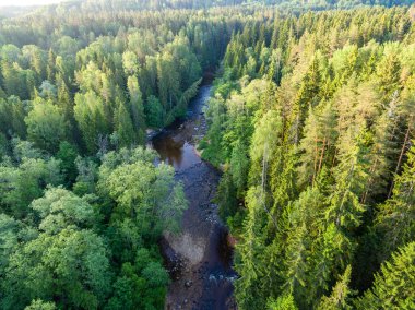 Drone görüntü. Ormanlar ile kırsal bölgenin havadan görünümü