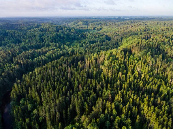 drone image. aerial view of rural area with forests