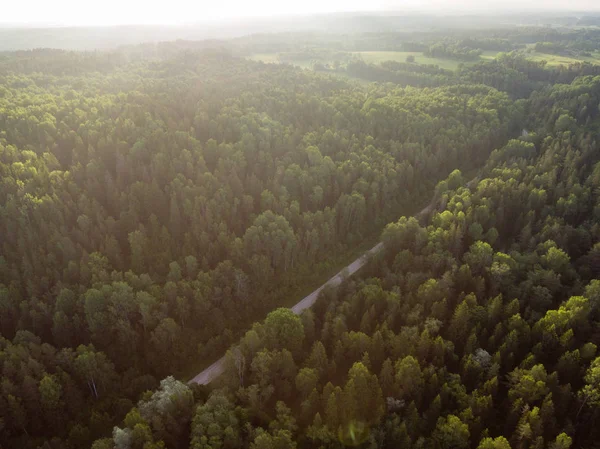 drone image. aerial view of rural area with forests