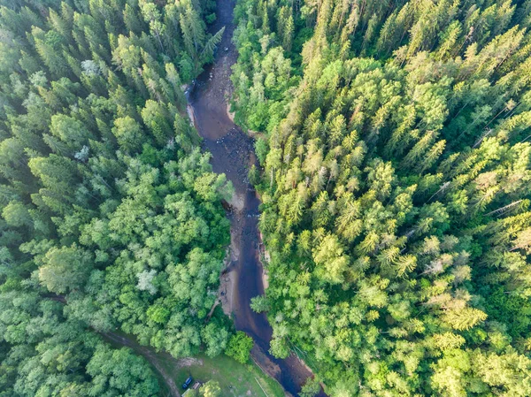 Drone görüntü. Ormanlar ile kırsal bölgenin havadan görünümü