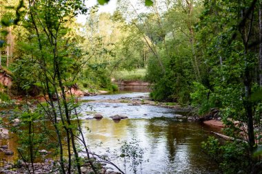 Beautyful sabah orman Nehri üzerinde ışık