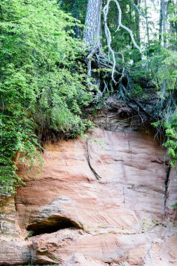 Beautyful sabah orman Nehri üzerinde ışık