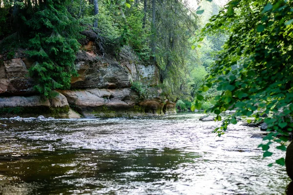 Lumière du matin magnifique sur la rivière de la forêt — Photo