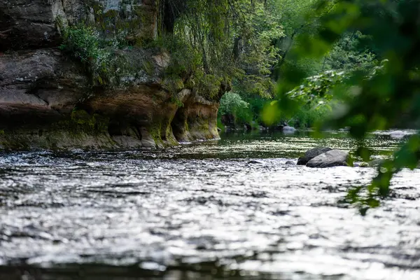 Gyönyörű reggel könnyű erdei folyó felett — Stock Fotó