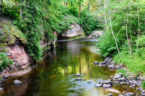 Wunderschönes Morgenlicht über dem Waldfluss — Stockfoto