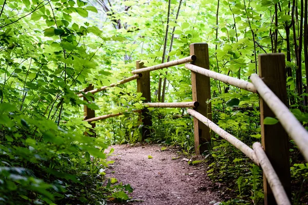 Az erdő fa footbridge — Stock Fotó