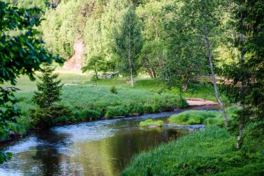 Beautyful sabah orman Nehri üzerinde ışık