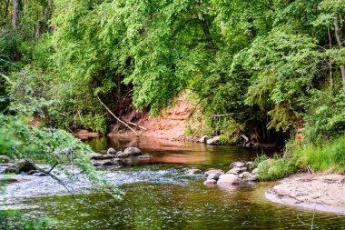 Beautyful sabah orman Nehri üzerinde ışık