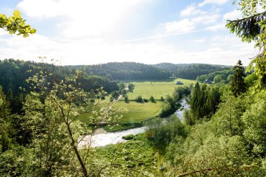 Beautyful sabah orman Nehri üzerinde ışık