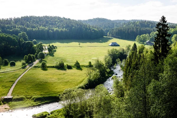 Beautyful porannego światła nad Las rzeka — Zdjęcie stockowe