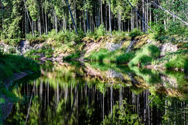 Beautyful morning light over forest river — Stock Photo, Image