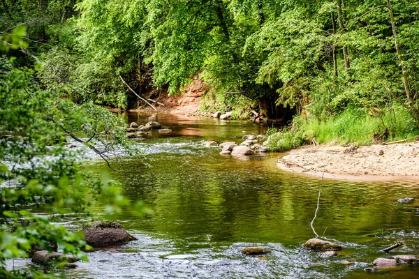 Beautyful morgonljus över skogsälv — Stockfoto