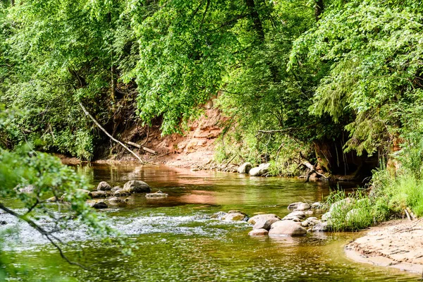 Beautyful morgonljus över skogsälv — Stockfoto