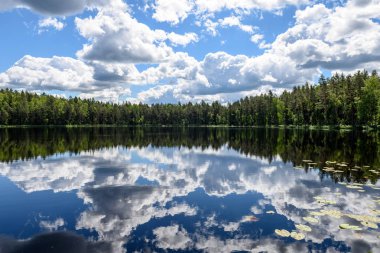Beyaz bulutların üzerinde orman göl üzerinde mavi gökyüzü