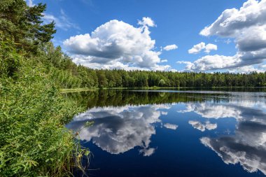 Beyaz bulutların üzerinde orman göl üzerinde mavi gökyüzü