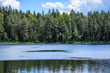 Beyaz bulutların üzerinde orman göl üzerinde mavi gökyüzü